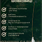 Шовковиця великоплідна "Стамбульська чорна" (літній сорт, середній термін дозрівання) цена
