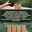 Мандарин "Уншиу"