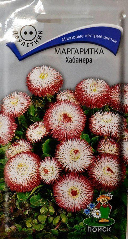 Маргаритка "Хабанера" ​​ТМ "Пошук" 15шт