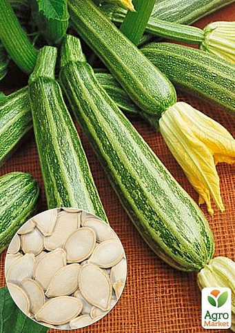 На развес Кабачок "Зебра" ТМ "Весна" цена за 8г