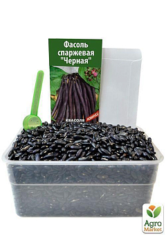 На вагу Квасоля спаржева "Чорна" ТМ "Весна" ціна за 15г6
