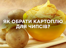 Сорти картоплі для чипсів — огляд найкращих видів | Agro-market