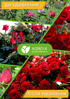 Гранульоване мінеральне добриво BIOGrand "Для троянд" (БІОГранд) ТМ "AGRO-X" 1кг2