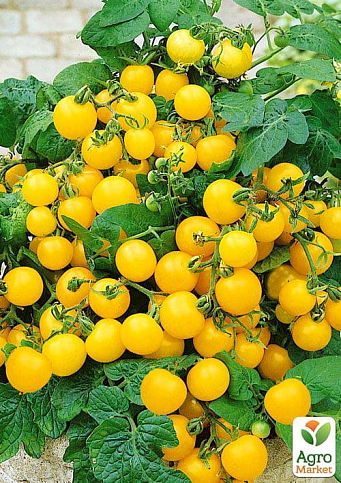 Томат "Черри золотой" (Зипер) ТМ "Весна" 0.5г - фото 3