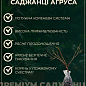 Крыжовник "Конфетный" (ранне-средний срок созревания)  купить