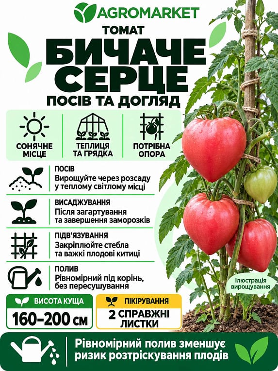 Томат "Бычье сердце малиновое" (Новый пакет) ТМ "Весна" 0.1г