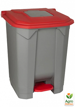 Бак для сміття з педаллю Planet 50 л сіро-червоний (6814)2