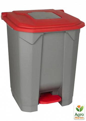 Бак для сміття з педаллю Planet 50 л сіро-червоний (6814)
