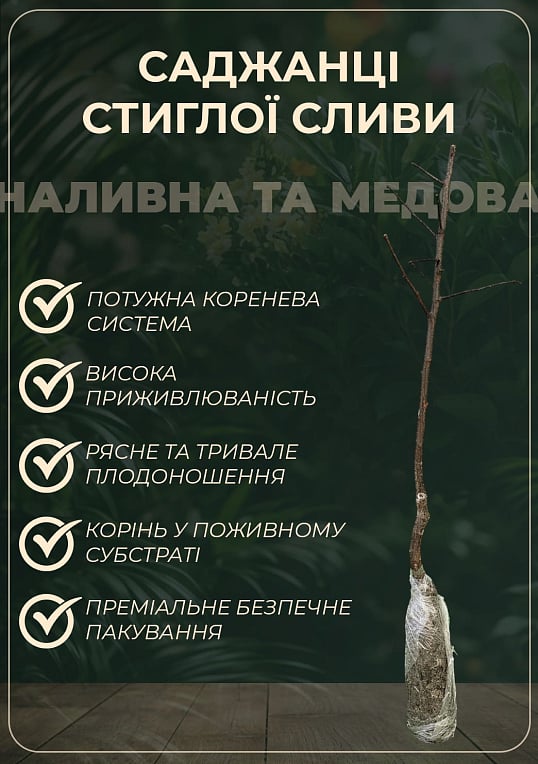 Слива диплоидная с ароматом персика "Шарафуга" (летний сорт, средний срок созревания)