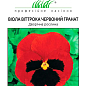 Віола віттрока "Червоний гранат" ТМ "Професійне насіння" 20шт