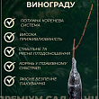 Виноград "Азия Розовая" (ранний, очень крупный, сладкий виноград) купить