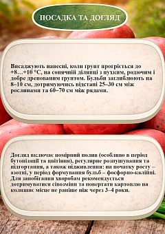Эксклюзив! Картофель "Рэд Мария" семенной среднеспелый (1 репродукция) 20