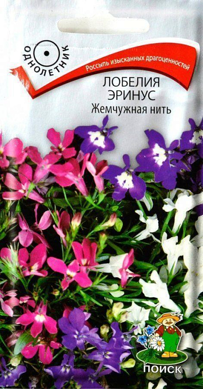 Лобелия "Жемчужная нить Эринус" ТМ "Поиск" 0.1г
