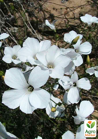 Льон декоративний білий ТМ "Весна" 100г - фото 3