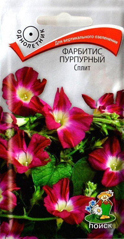 Ипомея "Фарбитис пурпурный" сплит ТМ "Поиск" 0.1г