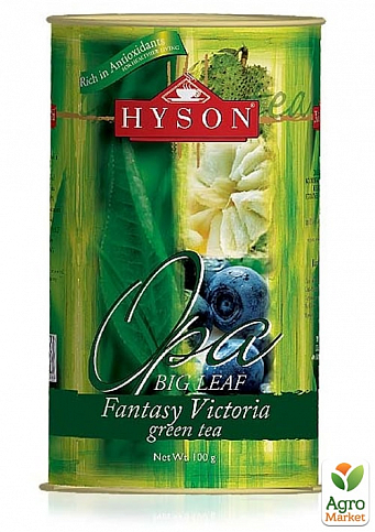 Чай зеленый (Виктория) черника ТМ "Хайсон" 100г упаковка 24шт - фото 2
