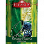 Чай зелений (Вікторія) чорниця ТМ "Хайсон" 100г упаковка 24шт купить