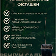 Фисташка "Альбина"  (средний срок созревания) купить