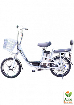 Акумуляторний велосипед TDN17Z 250Вт 48V 10Ah літійний (90530)1