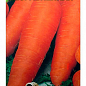Морковь "Несравненная"(Большой пакет) ТМ "Весна" 7г купить