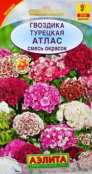 Хризантема турецкая "Атлас смесь" ТМ "Аэлита" 0.3г22