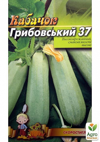 Кабачок "Грибовський 37" (Великий пакет) ТМ "Весна" 5г - фото 2