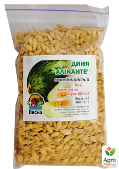Дыня "Аликанте" ТМ "Весна" 100г28