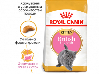 Royal Canin British Shorthair Kitten Сухий корм для кошенят британської породи 400 г (8165260)