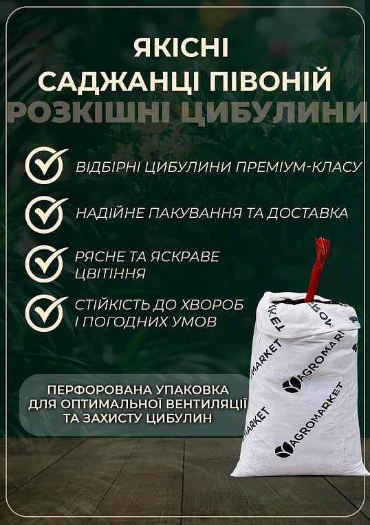 Півонія трав'яниста "Галина Уланова" 1шт в упаковці
