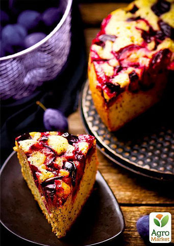 Слива "Валевская" (осенний сорт, поздний срок созревания) - фото 4