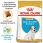 Royal Canin Jack Russell Terrier Puppy Сухий корм для собак породи Джек Рассел Тер'єр 1.5 кг (8221210)