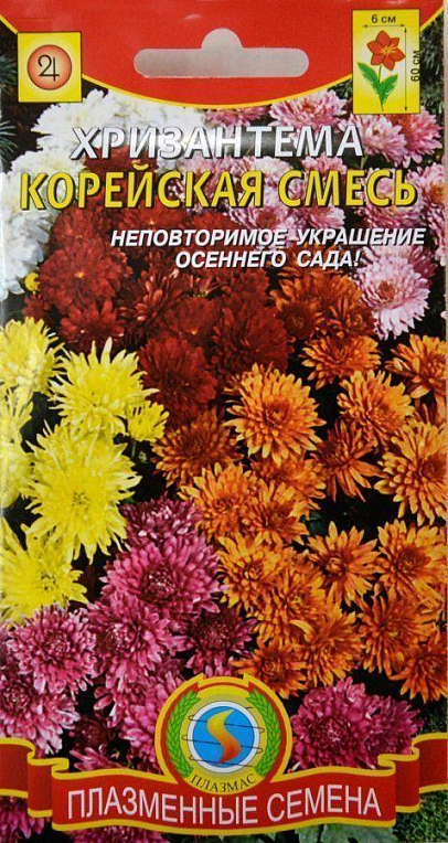 Хризантема "Корейська суміш" ТМ "Плазмові насіння" 20шт