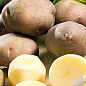 Семенной среднеранний картофель "Инноватор" (на пюре, 1 репродукция) 3кг