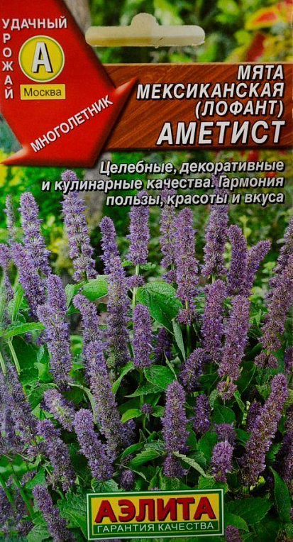 М'ята мексиканська (лофант) "Аметист" ТМ "Аеліта" 0.05г