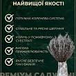 Лаванда английская узколистная "Сиреневый туман" (Рurple Haze) купить