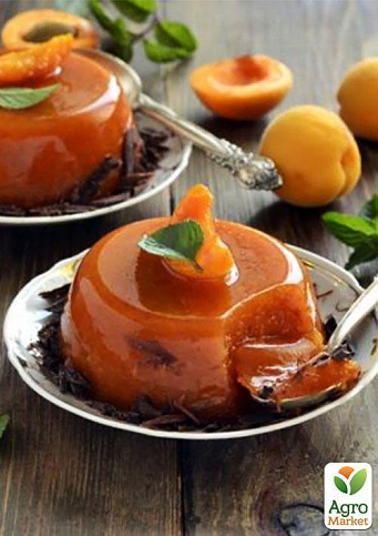 Ексклюзив! Абрикос колоновидний яскраво помаранчевий з легким рум'янцем "Сонячне літо" (Sunny summer) (преміальний середньостиглий сорт) - фото 5