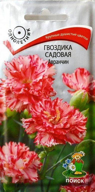 Гвоздика садова "Авранчін" ТМ "Пошук" 0.1г