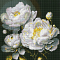 Алмазна мозаїка - Бездоганна краса з голограмними стразами (АВ) Ідейка AMO7609