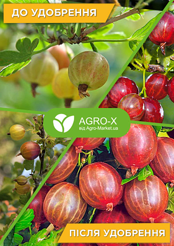 Минеральное удобрение BIOHYPER EXTRA "Для крыжовника" (Биохайпер Экстра) ТМ "AGRO-X" 100г - фото 3
