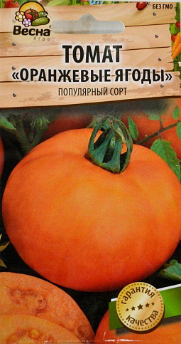 Томат "Оранжевые ягоды" (Новый пакет) ТМ "Весна" 0.1г - фото 2