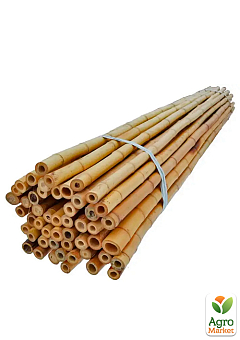 Опора бамбуковая 150 см (12-14мм) (570-01) 1