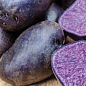 Насіннєвий рання картопля темно-фіолетовий "Полрасін" (1 репродукція) 1кг