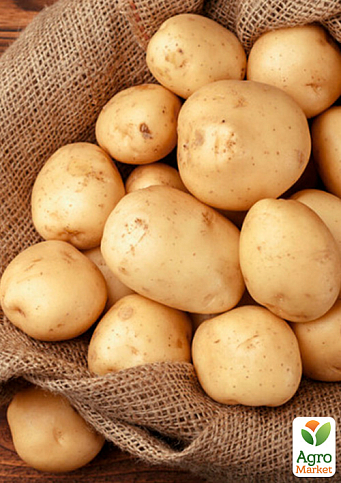 Картопля "Рів'єра" насіннєва ультрарання (1 репродукція) 5кг