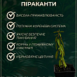Піраканта (живопліт) "Soleil d`Or"