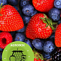 Ексклюзив! AGROBOX з саджанцем найсмачніше ягоди на планеті