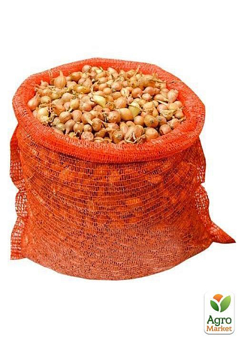 Цибуля-сіянка 1кг (арбажейка) "Халцедон" (Україна) - фото 5