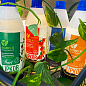 Липкий укорінювач нового покоління LIPKOR "Проти хруща" (Ліпкор) ТМ "AGRO-X" 1л
