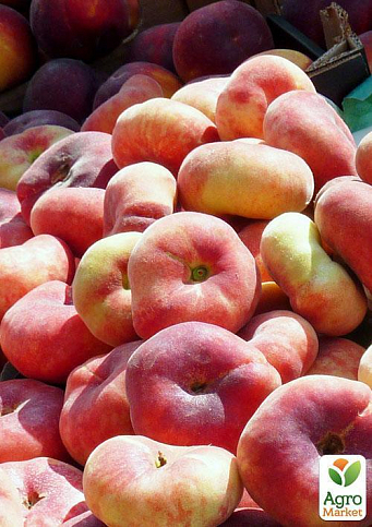 Інжирний персик "Інжирний класичний" (літній сорт, середній термін дозрівання) - фото 4