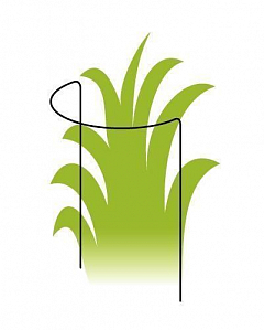 Опора для растений ТМ "ORANGERIE" тип С (зеленый цвет, высота 200 мм, кольцо 100 мм, диаметр проволки 3 мм)2