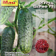Огурец "Шериф F1" ТМ "Май" 30-35шт